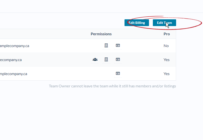 Team_page_-_edit_team_highlighted_with_red_circle_and_mouse_cursor.PNG