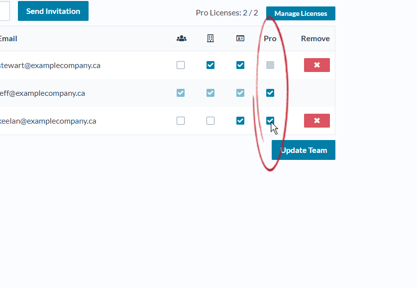 edit_team_page_with_Pro_licenses_assigned_and_highlighted_with_red_circle_and_mouse_cursor.PNG